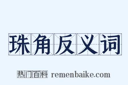 珠角反义词是什么意思的图片